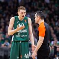 Marius Grigonis