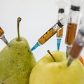 GMO