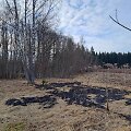 Latvijoje nukritęs dronas