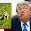 Donaldas Trumpas 
