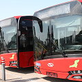 Nauji Vilniaus autobusai &bdquo;Solaris Urbino&ldquo;