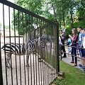 Tėvo dieną Kauno zoologijos sodas buvo pilnas žmonių