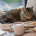 Hygge paslaptys 