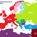 Europos žemėlapis, jeigu sienos būtų nubrėžtos pagal žmonių DNR skirtumus