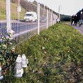 Pėsčiųjų perėja T.Narbuto gatvėje