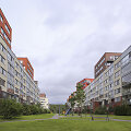 Pavasaris