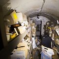 Sapiegos parke rasta medicininių ir cheminių medžiagų &bdquo;lobis&ldquo;