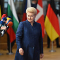 Dalia Grybauskaitė Europos Vadovų Taryboje Briuselyje