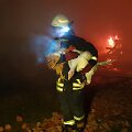 Ugniagesiai i&scaron; degančio ūkinio pastato Rum&scaron;ų kaime, &Scaron;ilutės rajone, ne&scaron;ė pauk&scaron;čius. I&scaron;gelbėti kalakutai, vi&scaron;tos ir putpelės.