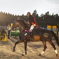 Zigmantas &Scaron;arkas ir Aster &ndash; Suaugusiųjų grupės čempionas