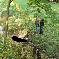 Kraupus radinys Panevėžio parke &ndash; nužudytas nusikalstamo pasaulio atstovas