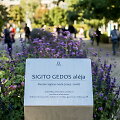 Atidaryta Sigito Gedos alėja