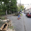 Vilniuje, Radvilų gatvėje nupjauti medžiai.