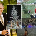 Liudas Mikalauskas ir Pluti&scaron;kių kaimo Kalėdų eglė