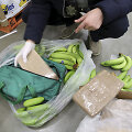 Bananų siuntoje - kokainas