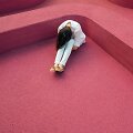 Depresyvios nuotaikos paauglė