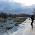 I&scaron;siliejusi i&scaron; krantų Danės upė pasiekė gyventojų namus.