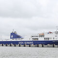 Keltas &bdquo;DFDS Seaways&ldquo;