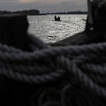 Nemune žvejai nuo seno gaudo ypatingus gyvius &ndash; nėges, kurios neturi ne žvynų, nei kaulų