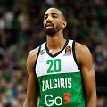 Austin Hollins