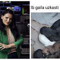 Renata &Scaron;akalytė pasibaisėjo socialiniuose tinkluose pavie&scaron;intu skelbimu 