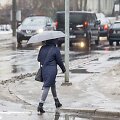 Sniegą Vilniuje keičia balos