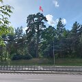 Vytis Geležinio vilko gatvėje