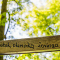 Saulėta diena jaukiame Verkių parke
