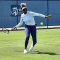 Venus Williams