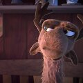 hey-deer-trailer