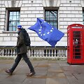Protestuotojas prie&scaron; &bdquo;Brexit&ldquo; Londone