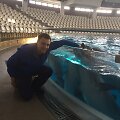 Delfinų treneris Mindaugas Luko&scaron;ius
