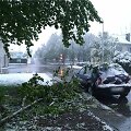 Sunku patikėti, kad Kėdainiai į gausią stichinių rei&scaron;kinių zoną nepatenka, kai gegužės 12-ąją laukuose čia buvo balta, rapsų ir kitų augalų laukai pasidengė sniegu, o medžiai virste virto.