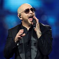 Pitbull