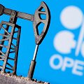 Naftą i&scaron;gaunančių &scaron;alių grupė OPEC+ / Dado Ruvic / REUTERS