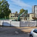 Darbai buvusio ąžuolo vietoje