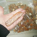 Muitinėje sulaikyti 4 kg gintaro