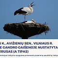 Pauk&scaron;čių gripas