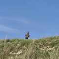 Moteris i&scaron;gąsdinęs vyras pareigūnams įkliuvo jau trečią kartą &scaron;ią vasarą