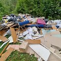 Mi&scaron;kų urėdija nustatė Vilniaus pami&scaron;kėje didelį kiekį atliekų i&scaron;vertusius asmenis