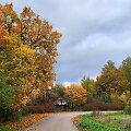 Ruduo Upninkuose