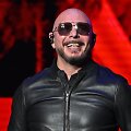 Pitbull