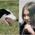 Asociatyvi iliustracija: R.Jankauskaitė nesuvaldė medžioklėse naudojamo, vilkogaudžiu vadinamo &scaron;uns.