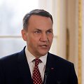 Lenkijos užsienio reikalų ministras Radoslawas Sikorskis / WOJTEK RADWANSKI / AFP