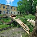 Viesulo nusiaubtas Antanavo dvaro parkas