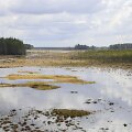 Čepkelių valstybiniame gamtiniame rezervate