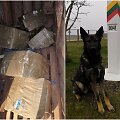 Vokiečių aviganis Baris susekė kontrabandininkų pėdsakus ir surado 4 tūkst. pakelių rūkalų.