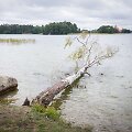 Stiprus vėjas Vilniuje varto daiktus