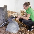 Vilniaus zoologijos sodas
