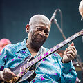 B.B.Kingas (2012 m.)